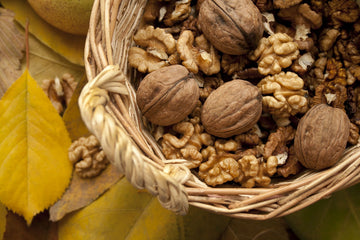 Nuts should be prescribed to fight diseases