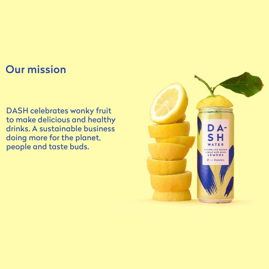 Dash Sparkling Water x 300ml cans